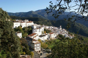  Apartamentos Rurales Jardines del Visir  Хенальгвасиль